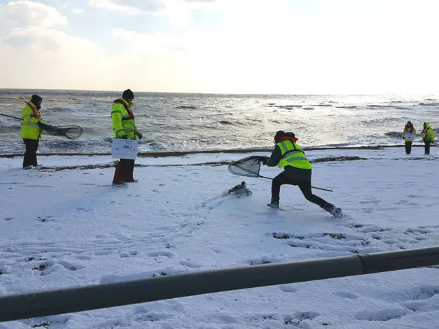 RSPCA working in the snow