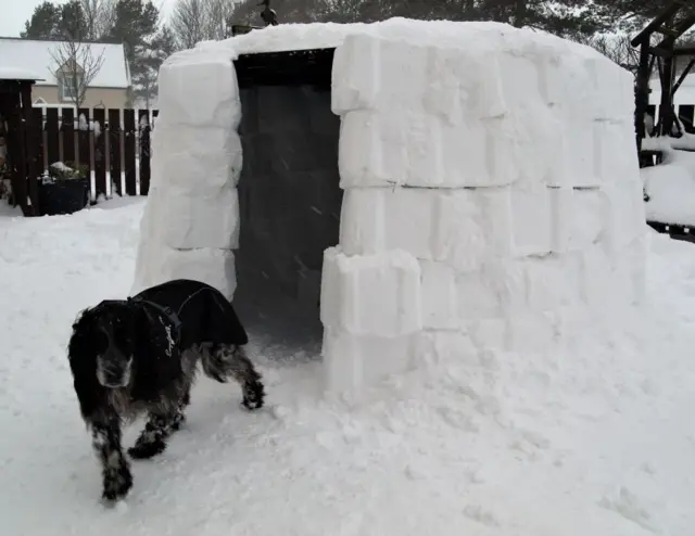 Barney and the igloo