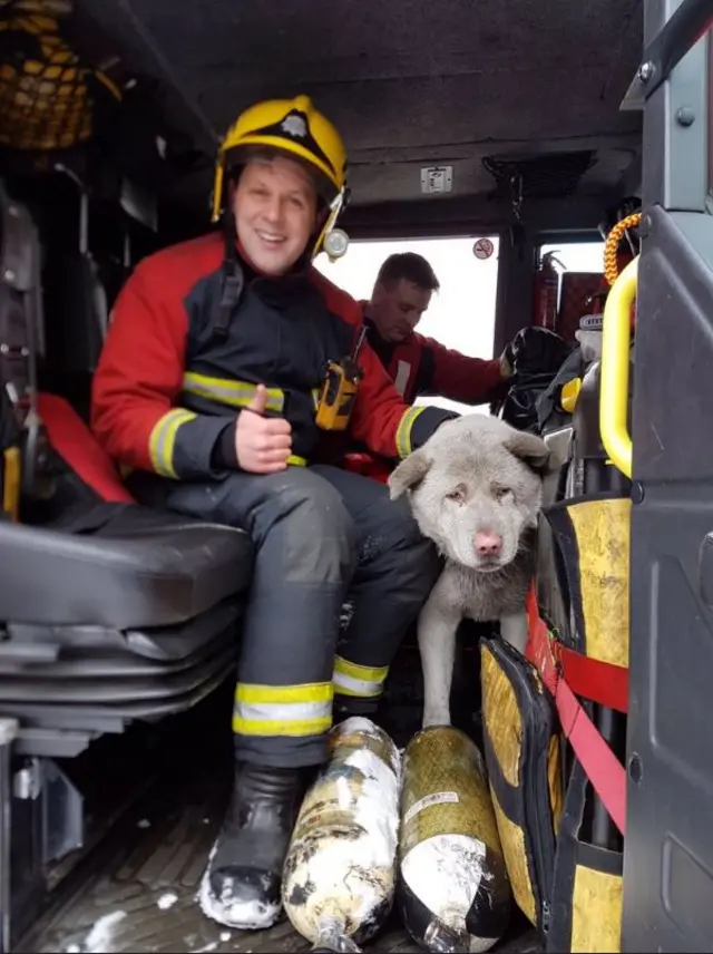 Firefighters with a stray dog rescued from a canal in Tividale