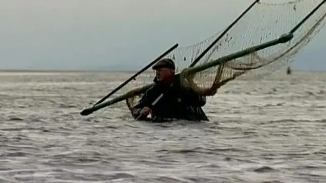 The practice of haaf netting dates back to Viking times