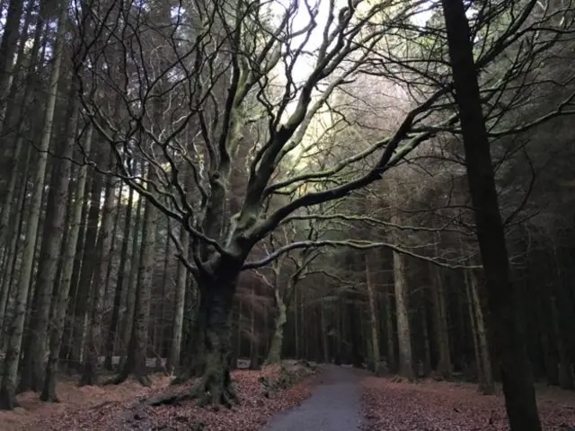 An atmospheric Beecraigs Country Park near Linlithgow