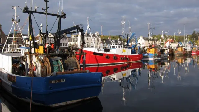 Fishing boats