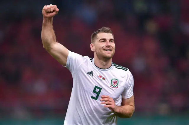 Wales' Sam Vokes