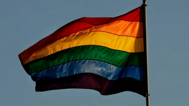 LGBTQ flag