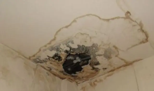 Ceiling damage