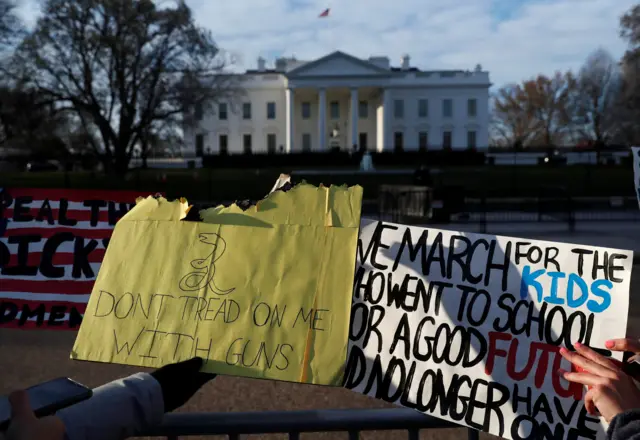 March for Our Lives protesters in front of the White House