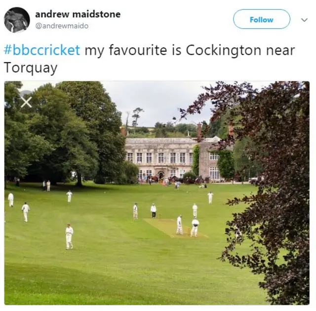 Cockington cricket club