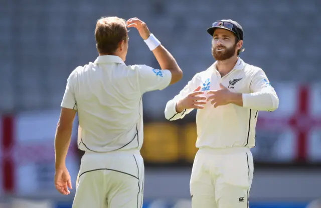 Neil Wayner and Kane Williamson