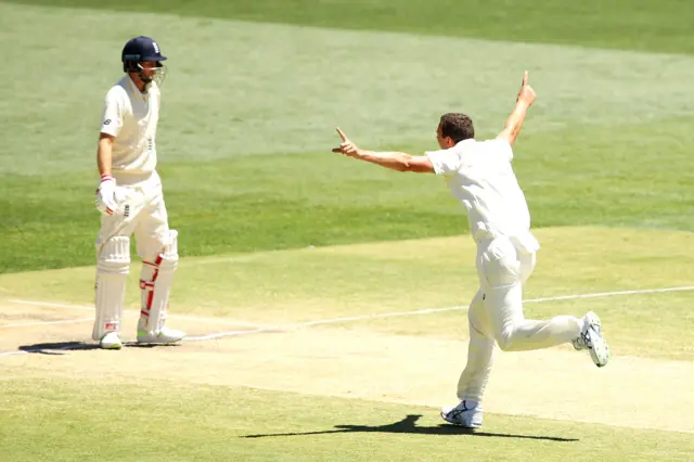 Joe root and Josh Hazlewood