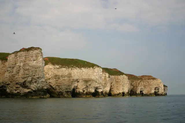 Bempton Cliffs