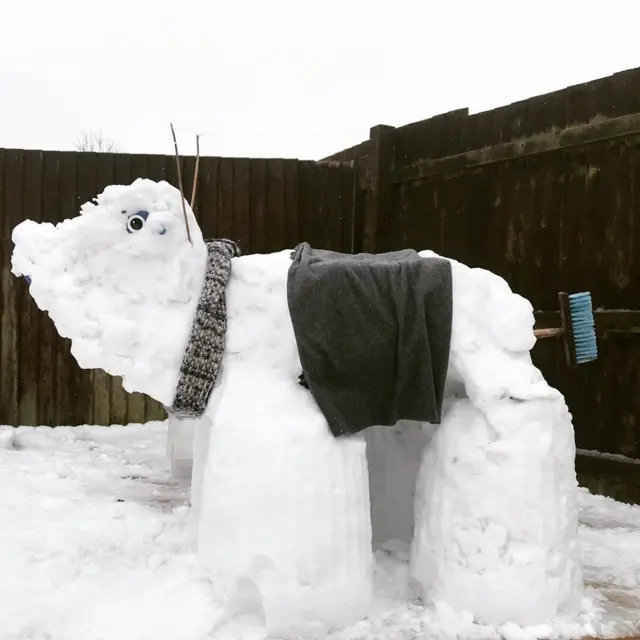 ceffyl eira