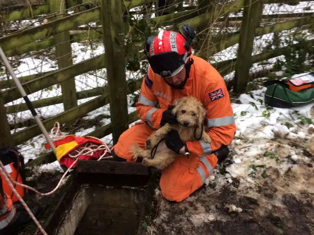 Misty in the safe hands of fire crews