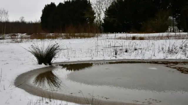 Eardington Nature Reserve near Bridgnorth