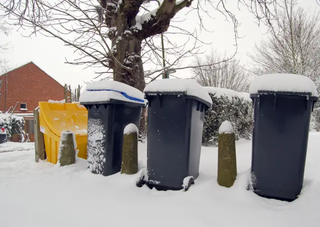 Bins in snow