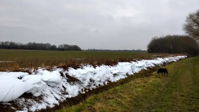 Snow along the edge of a field