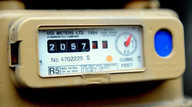 Domestic gas meter