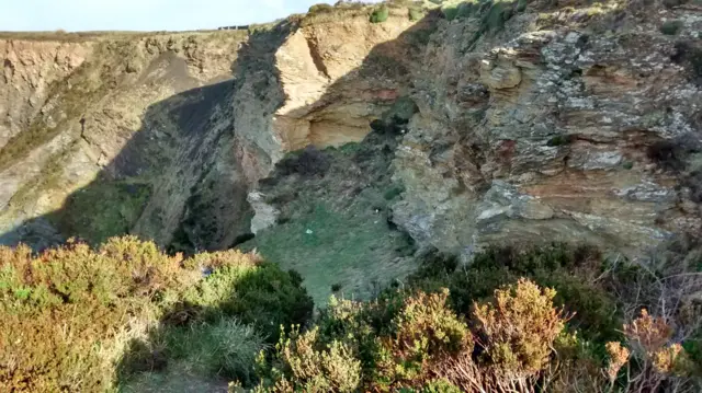 Lighthouse Hill, Portreath. Pic: RSPCA