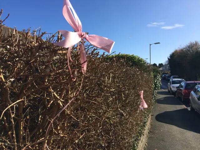 Ribbons in a hedge