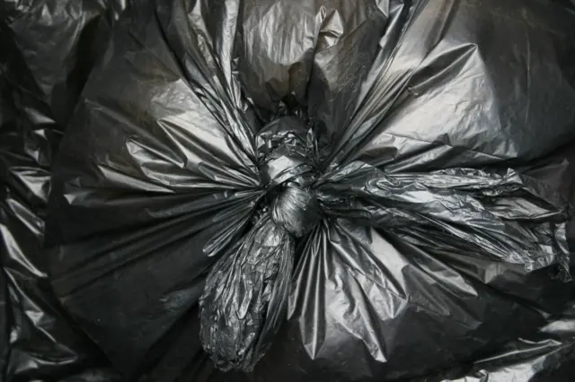 Bin bag