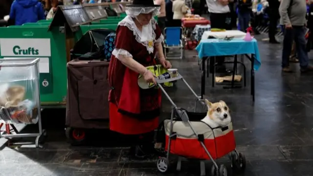 Woman in fancy dress pushes a Welsh Corgi in a trolley