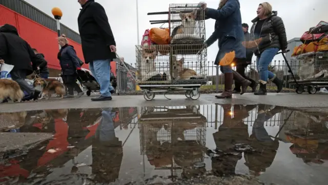 Dogs and their owners arrive for the first day of Crufts 2018 at the NEC in Birmingham