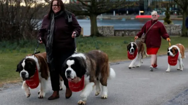 Women with Saint Bernard dogs arrive for the first day of the Crufts Dog Show in Birmingham