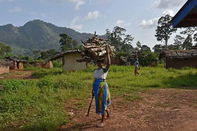 A pregnant woman carries a stack of firewood in a village near Mount Peko, a national park of over 35,000 hectares in western Ivory Coast, on October 7, 2016.