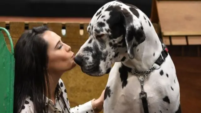 An owner kisses her Great Dane on the first day of the Crufts dog show