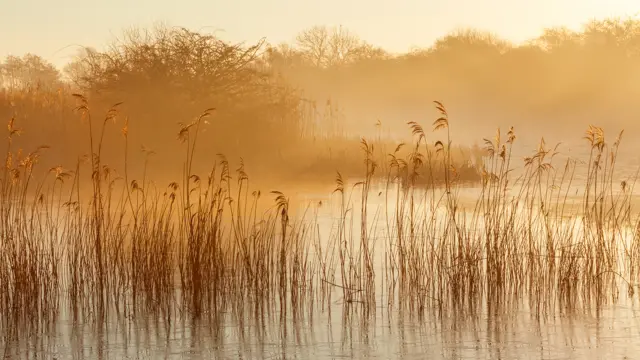 Barton-upon-Humber nature reserve