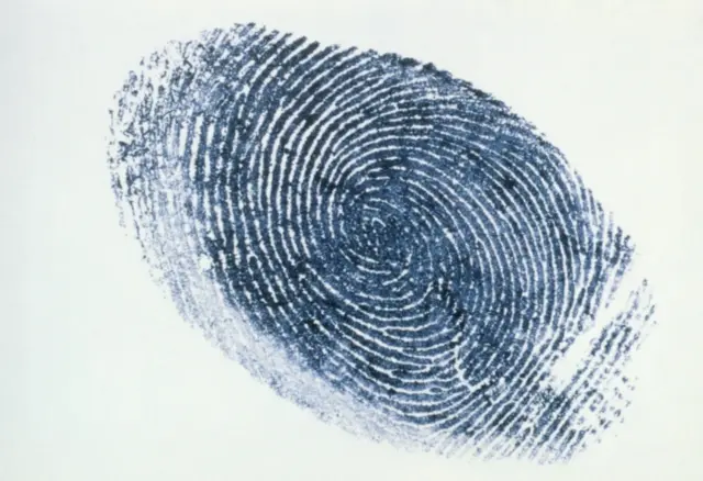 A human fingerprint