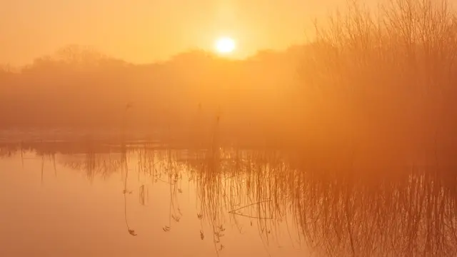 Barton upon Humber nature reserve