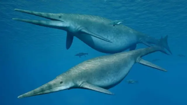 Ichthyosaurs