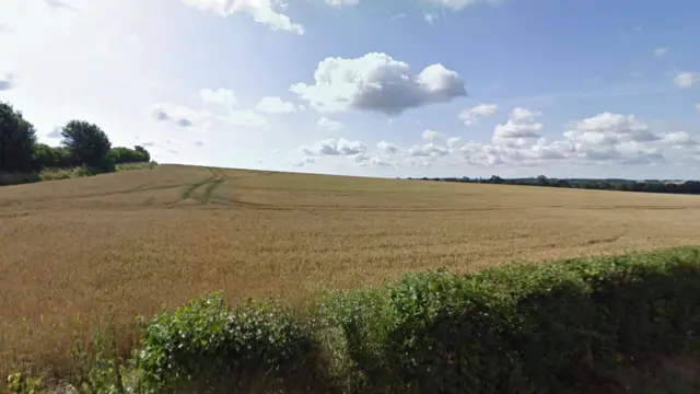 Farmland in Lenham