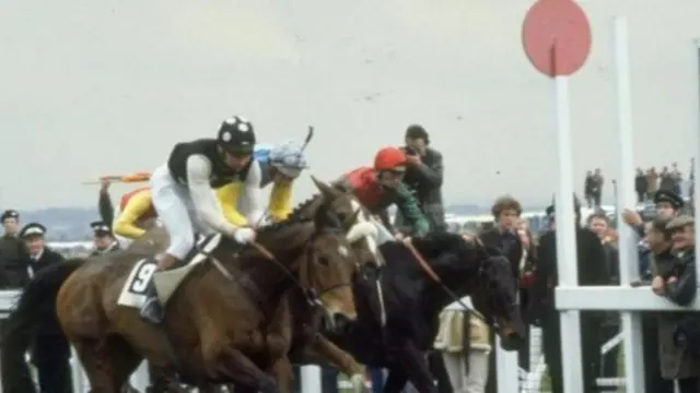 Victory for Bob Davies on Lucius at Aintree