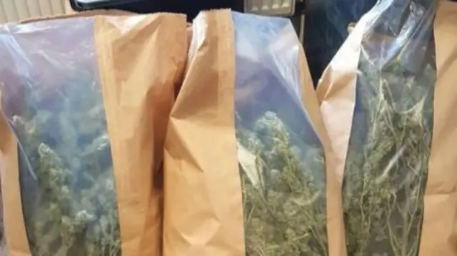 Some of the cannabis in sacks