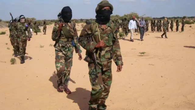 Al-Shabab militants