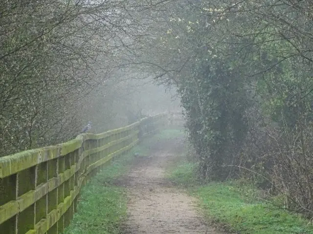 Path in Rawcliffe