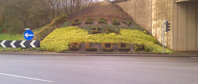 Derby In Bloom display