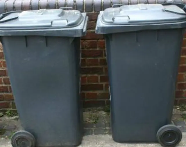 Two black wheelie bins