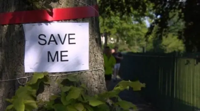 Tree with Save Me poster