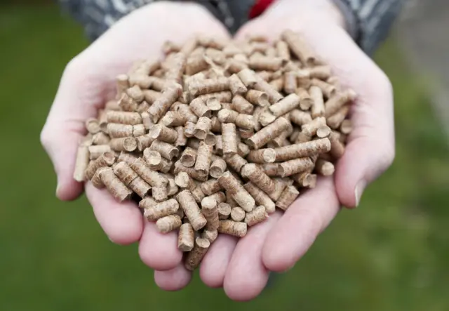 A person holding a handful of wood pellets