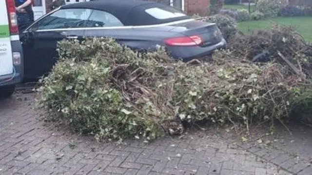 Car crashed into garden