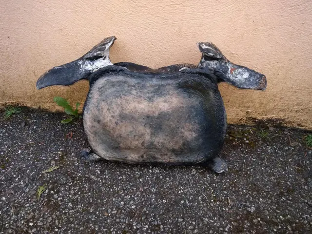 Whale bone. Pic: Lucy Davies