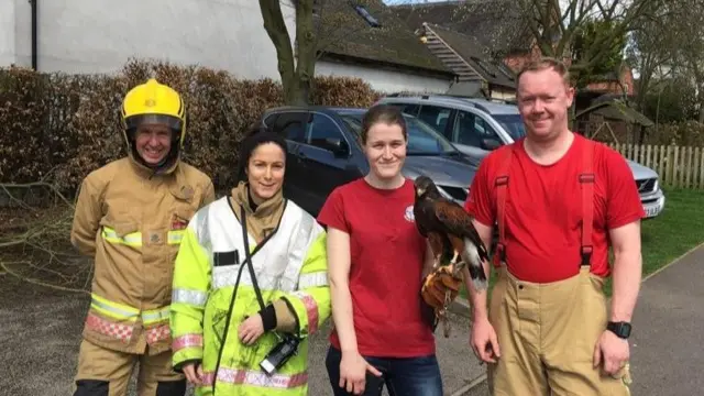 Fire crews with handler and hawk