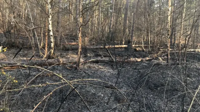 Fire at Clumber Park