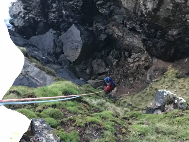 dog being rescue