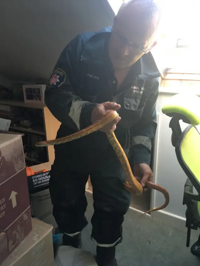 South Live Monday 23 April BBC News