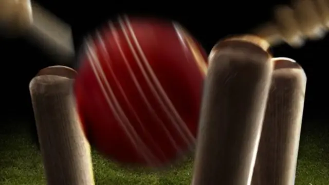 Cricket ball hits stumps