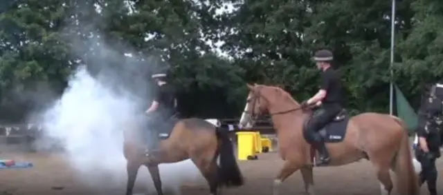 Police horses crowd training in Barnsley