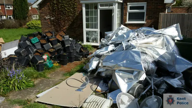 Cannabis farm in Sittingbourne